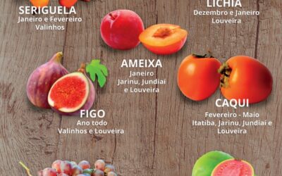 Quais são as frutas de época da região ?