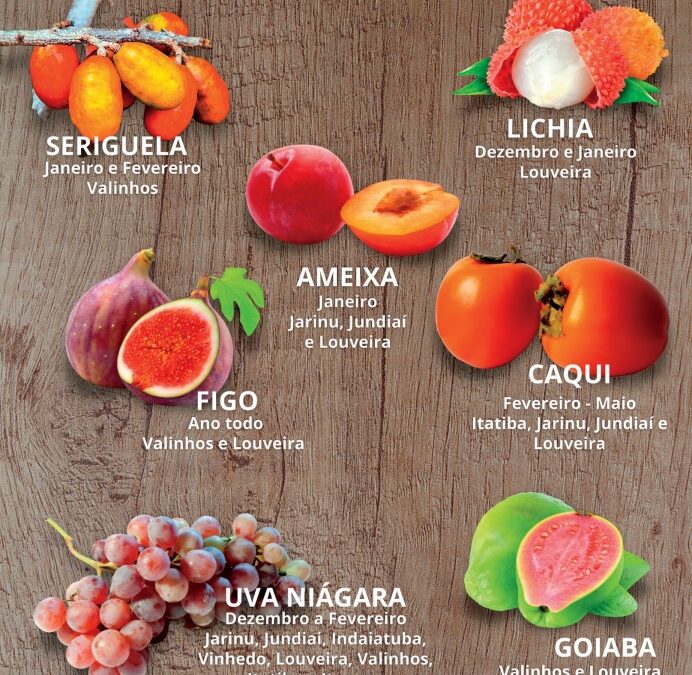 Quais são as frutas de época da região ?