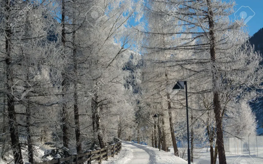 O Inverno: Uma Dança Gelada que Aquece a Alma Humana